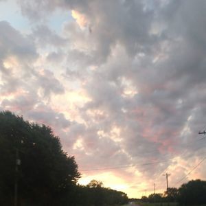 Meet your Posher, Tealla